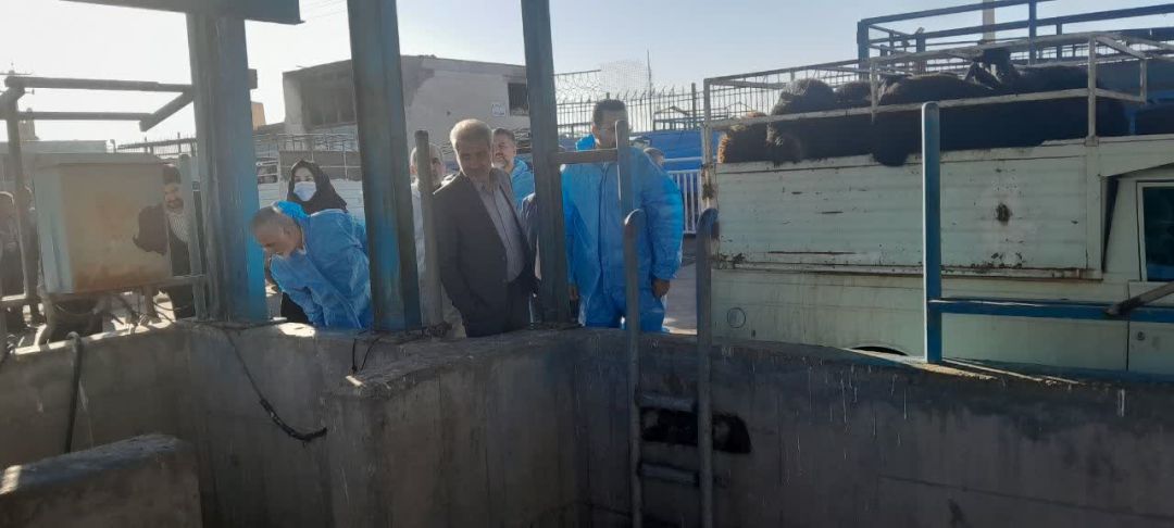 حضور میدانی مدیرکل دامپزشکی در کشتارگاه اراک