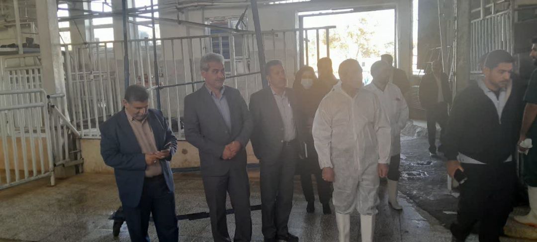 حضور میدانی مدیرکل دامپزشکی در کشتارگاه اراک