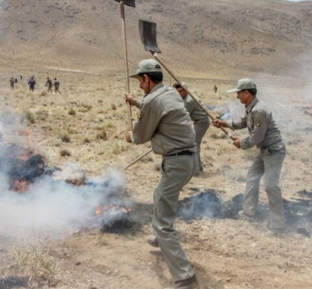 محیط‌بانان بدون تجهیزات در مأموریت‌های پرخطر هستند