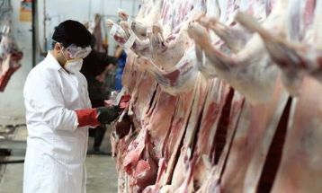 انجام 1900 مورد نظارت بهداشتی توسط دامپزشکی دلیجان