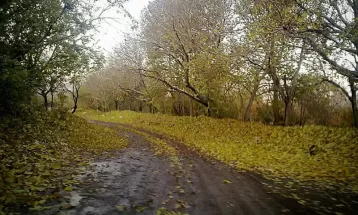 پاییز دل‌انگیز روستای «بالقلو» ساوه