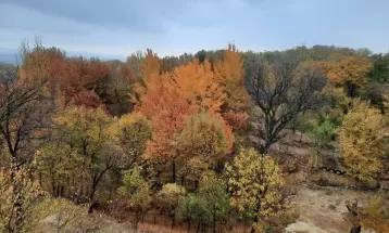 پاییز دل‌انگیز روستای «بالقلو» ساوه