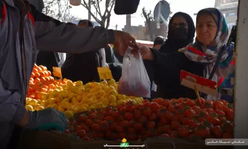 شور و حال مردم اراک در یلدای گرم