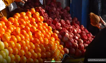 شور و حال مردم اراک در یلدای گرم