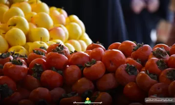 شور و حال مردم اراک در یلدای گرم