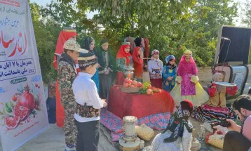 برگزاری آئین رونمایی از پوستر جشنواره انار ساوه