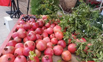 سومین جشنواره ملّی انار ساوه