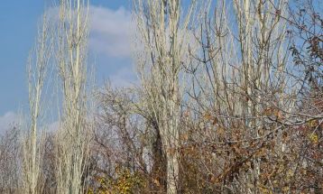 پاییز رنگی در روستای جوشقان