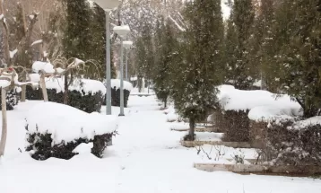 بارش مداوم  برف زمستانی در اراک