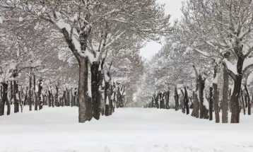 زیبایی‌های اراک در یک روز برفی