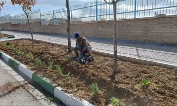 شور و حال استقبال از بهار در فراهان