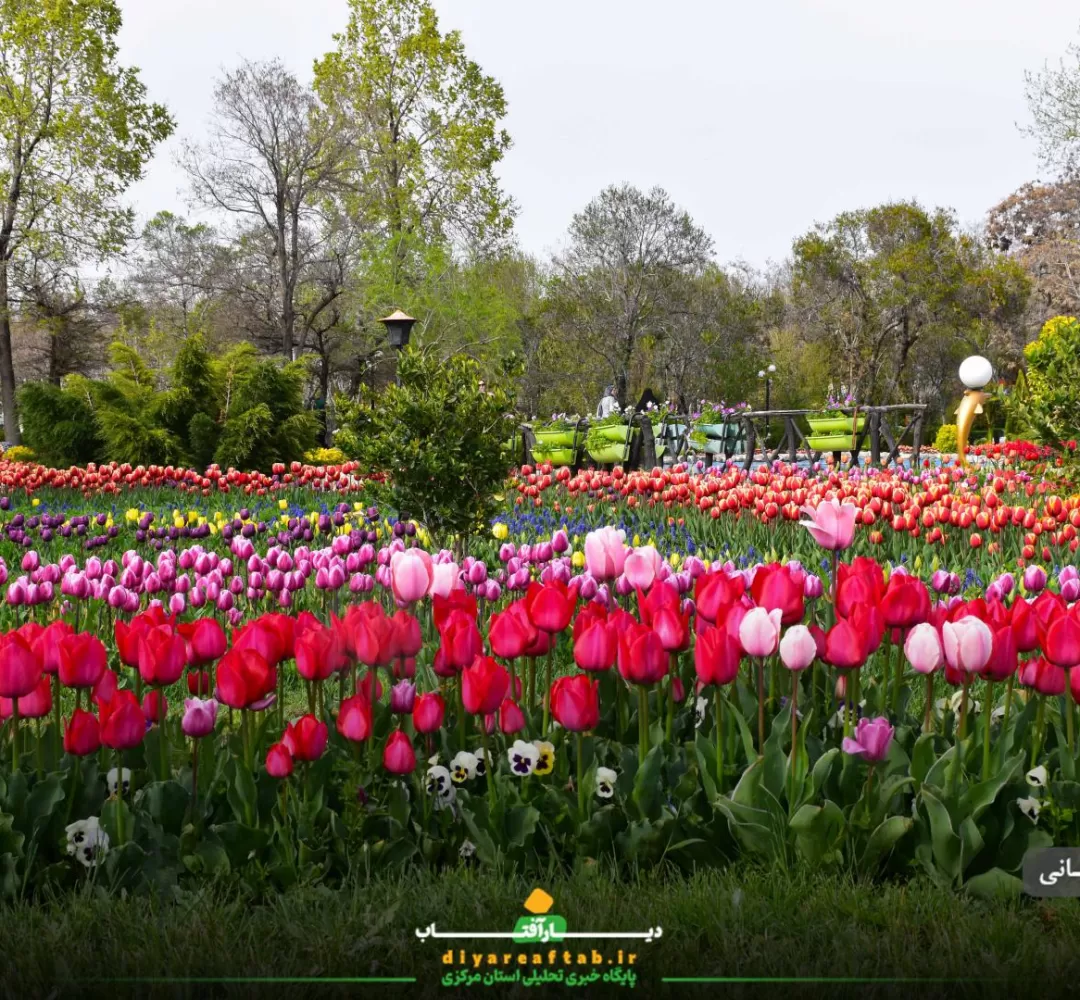 زیبایی بهار در باغ گلهای لاله اراک