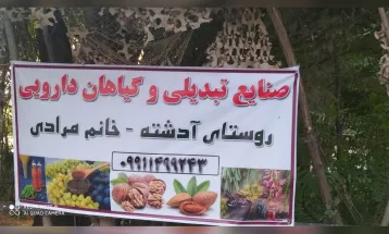 جشنواره انگور در خنداب