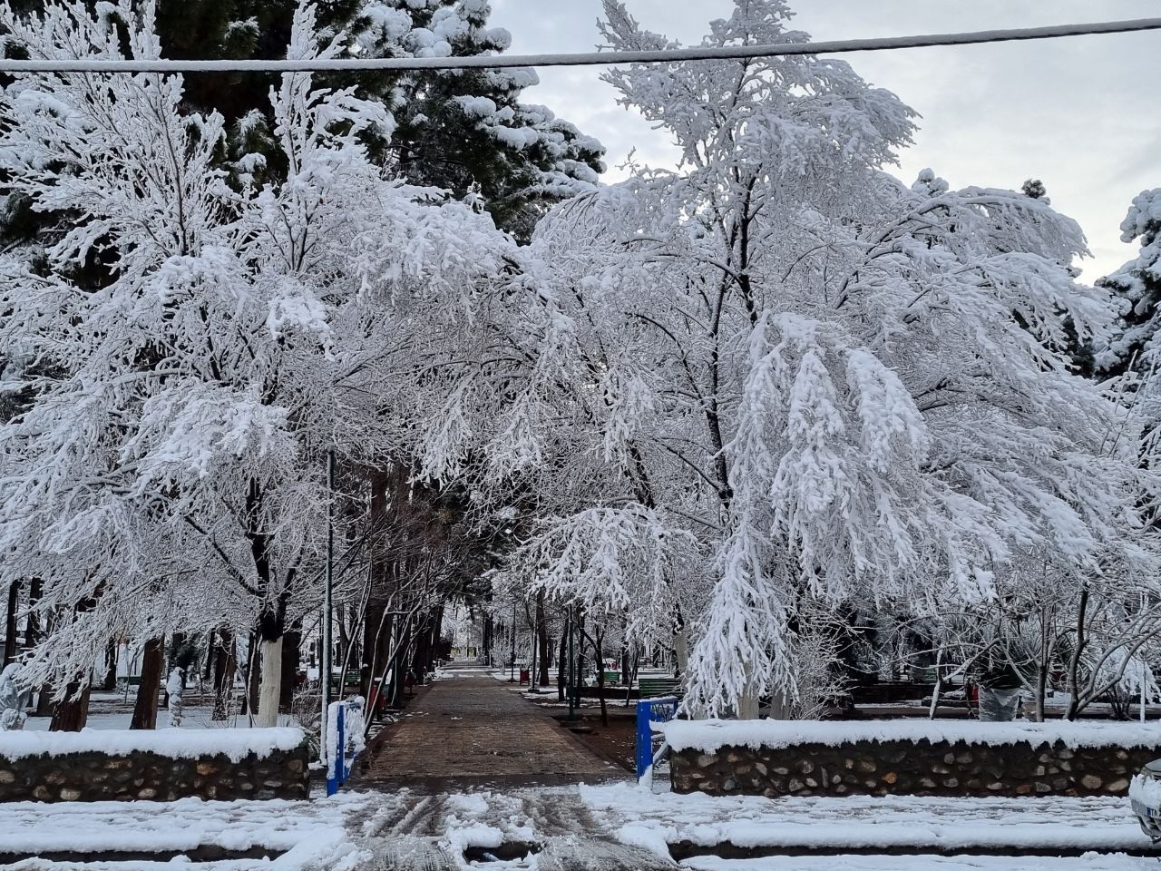 اولین برف زمستانی ساوه را سفیدپوش کرد