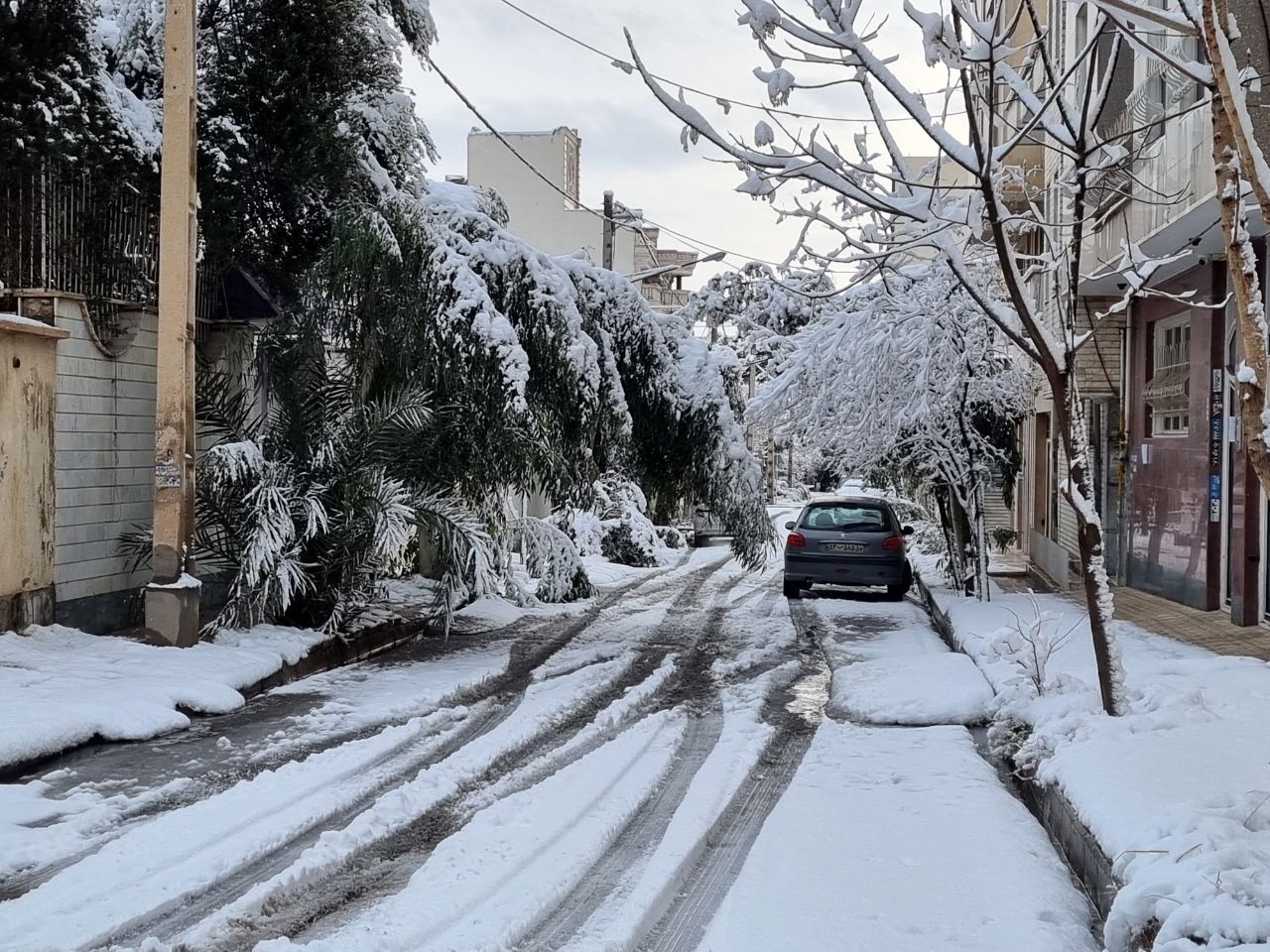 اولین برف زمستانی ساوه را سفیدپوش کرد