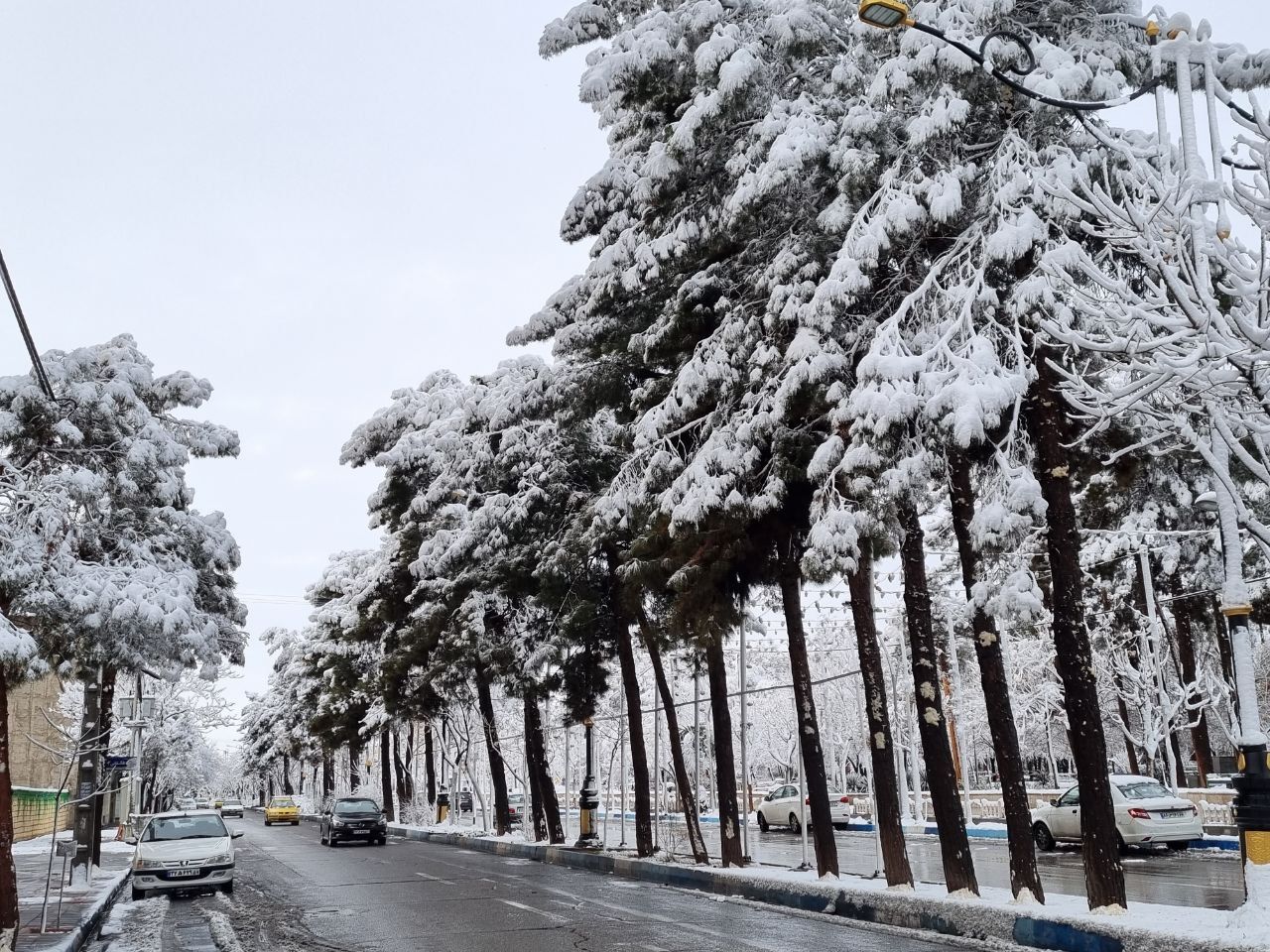 اولین برف زمستانی ساوه را سفیدپوش کرد