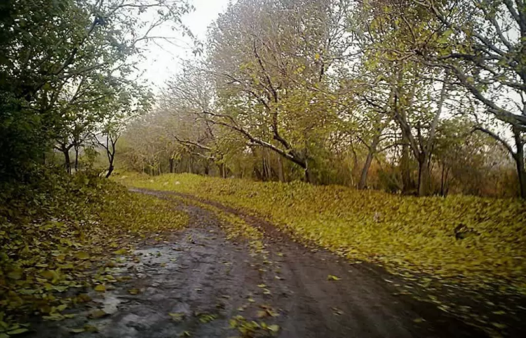 پاییز دل‌انگیز روستای «بالقلو» ساوه