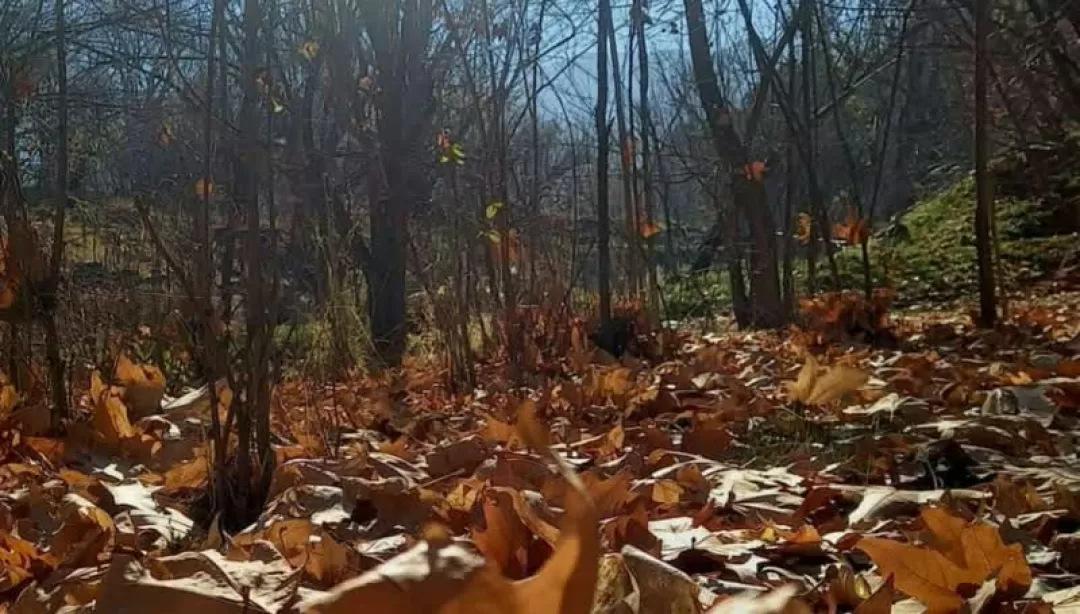 پاییز دل‌انگیز روستای «بالقلو» ساوه