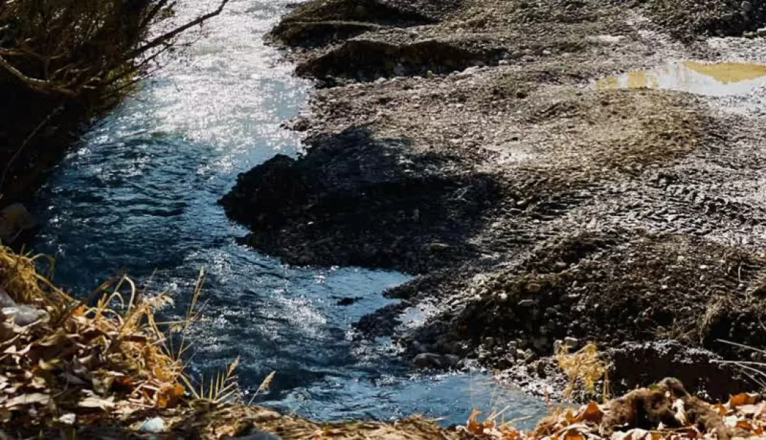 پاییز دل‌انگیز روستای «بالقلو» ساوه