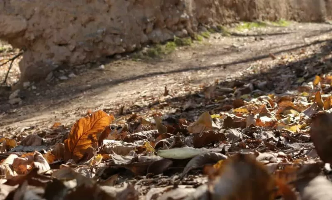 پاییز دل‌انگیز روستای «بالقلو» ساوه