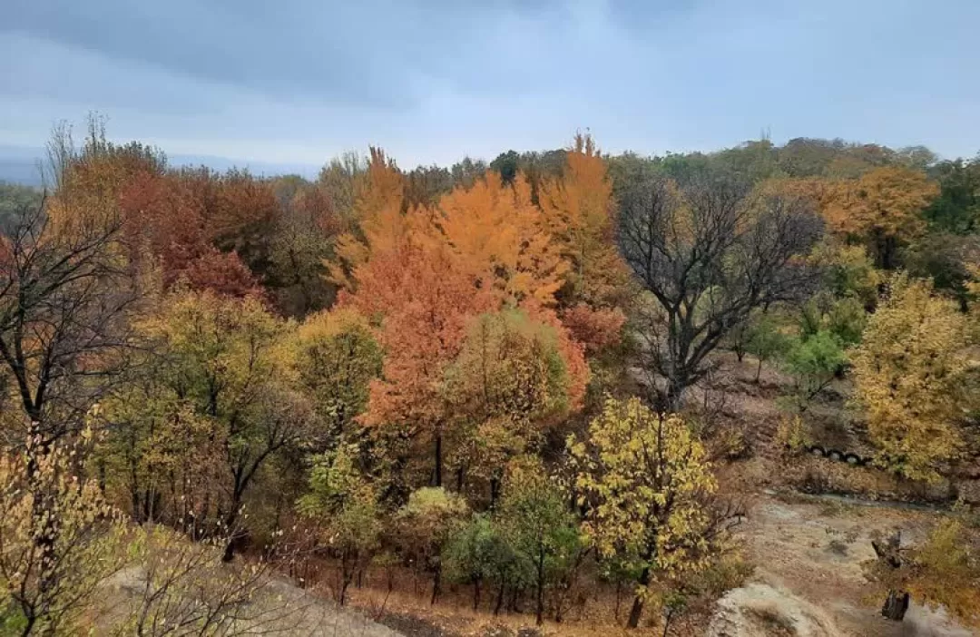 پاییز دل‌انگیز روستای «بالقلو» ساوه