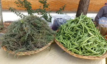 برپایی بازارچه توانمندی‌ زنان روستایی در تفرش