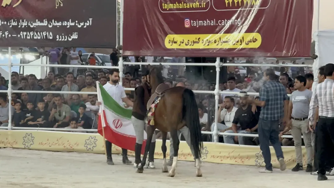 همایش کشوری سواره اسب در ساوه برگزار شد