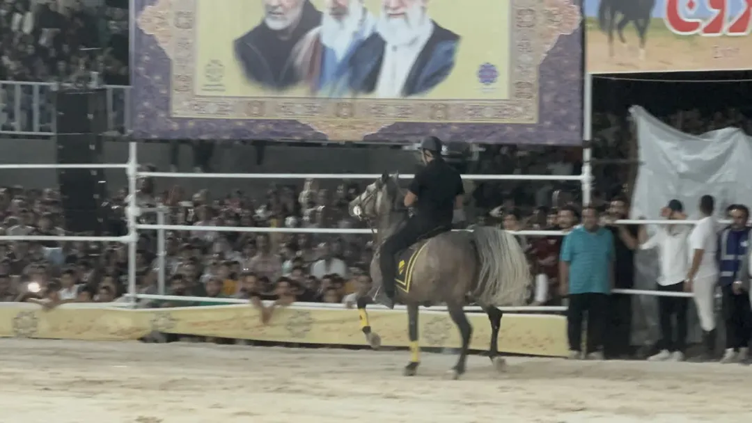 همایش کشوری سواره اسب در ساوه برگزار شد