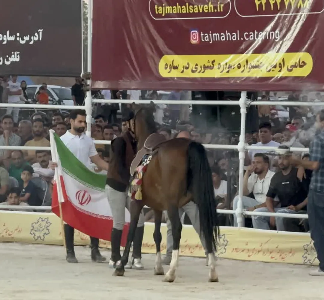 همایش کشوری سواره اسب در ساوه برگزار شد