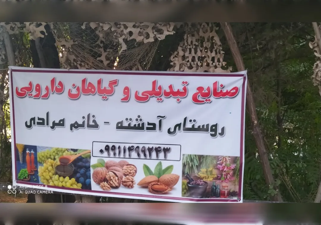 جشنواره انگور در خنداب