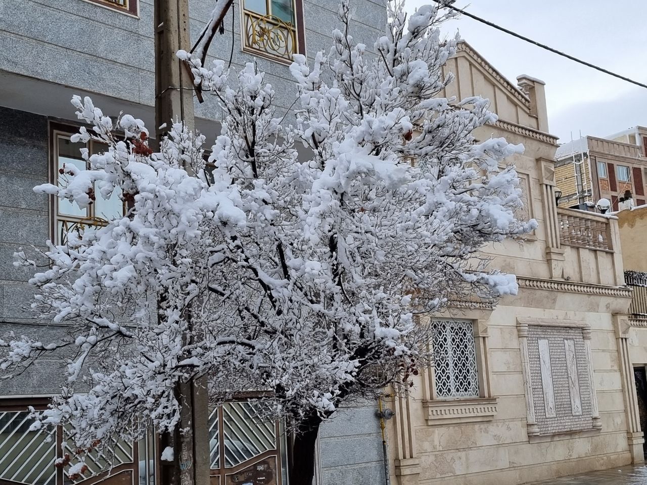 اولین برف زمستانی ساوه را سفیدپوش کرد