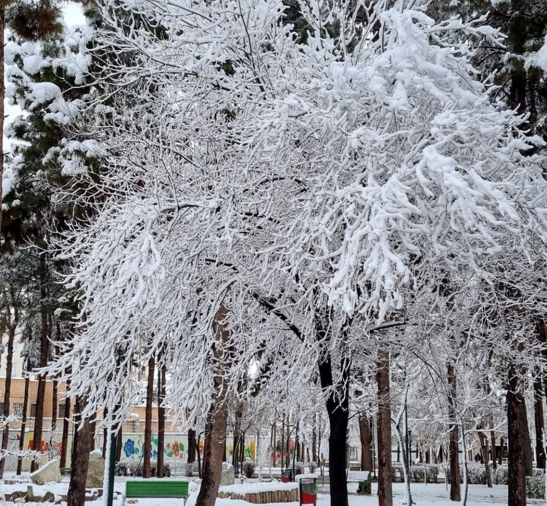 اولین برف زمستانی ساوه را سفیدپوش کرد