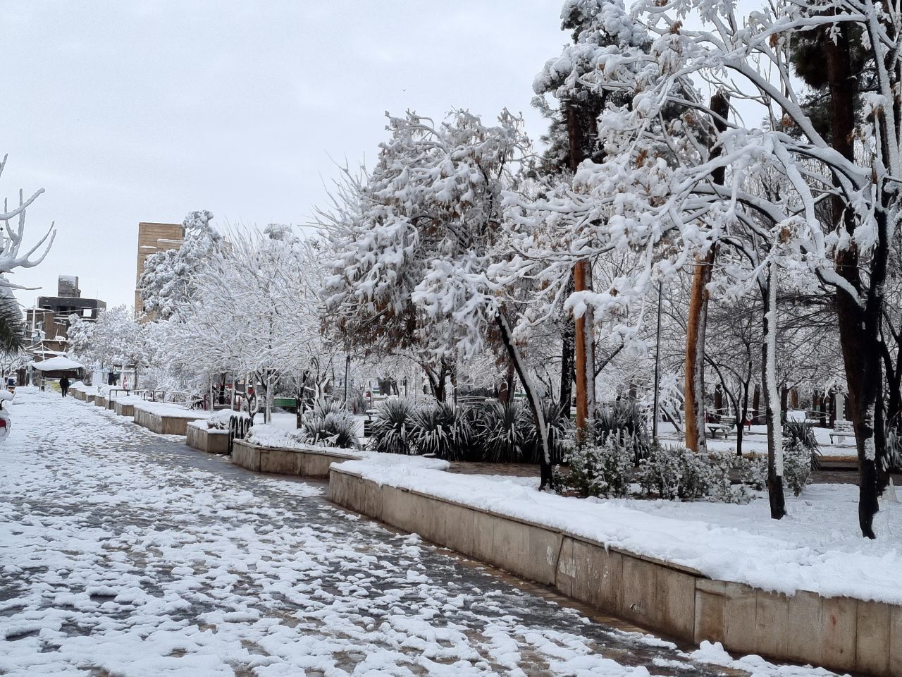 اولین برف زمستانی ساوه را سفیدپوش کرد