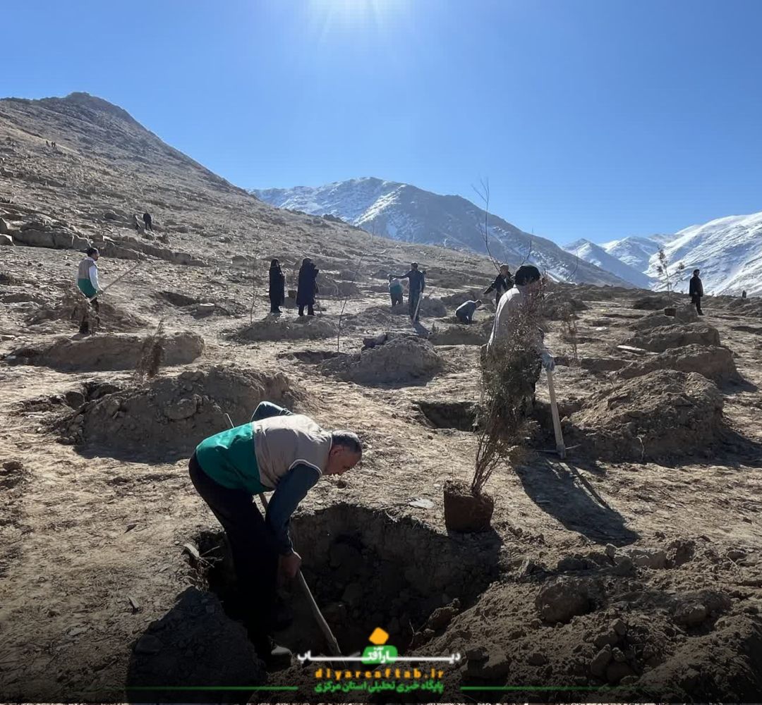 کاشت ۲ هزار نهال به نام شهدا در اراک
