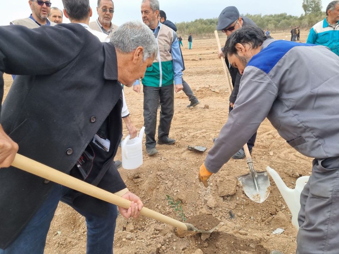 آئین روز درختکاری در ساوه برگزار شد