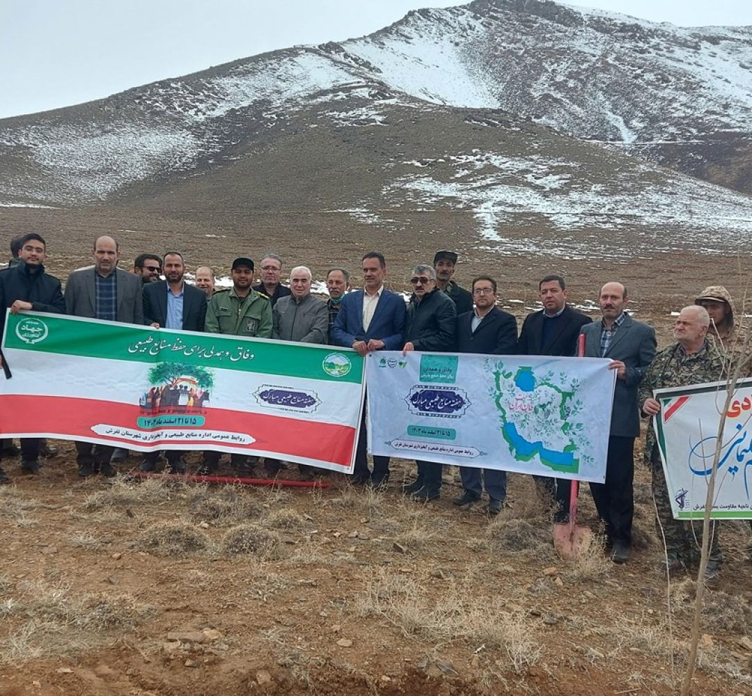 کاشت نهال در تفرش