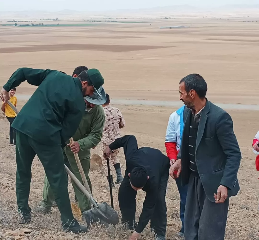 پویش بذرکاری در فراهان