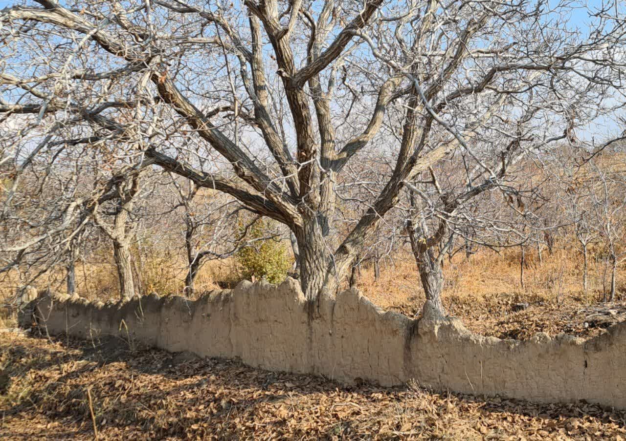 پاییز رنگی در روستای جوشقان