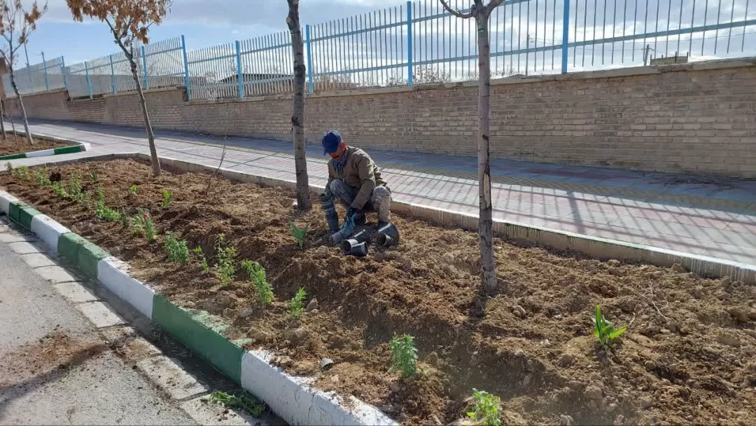 شور و حال استقبال از بهار در فراهان