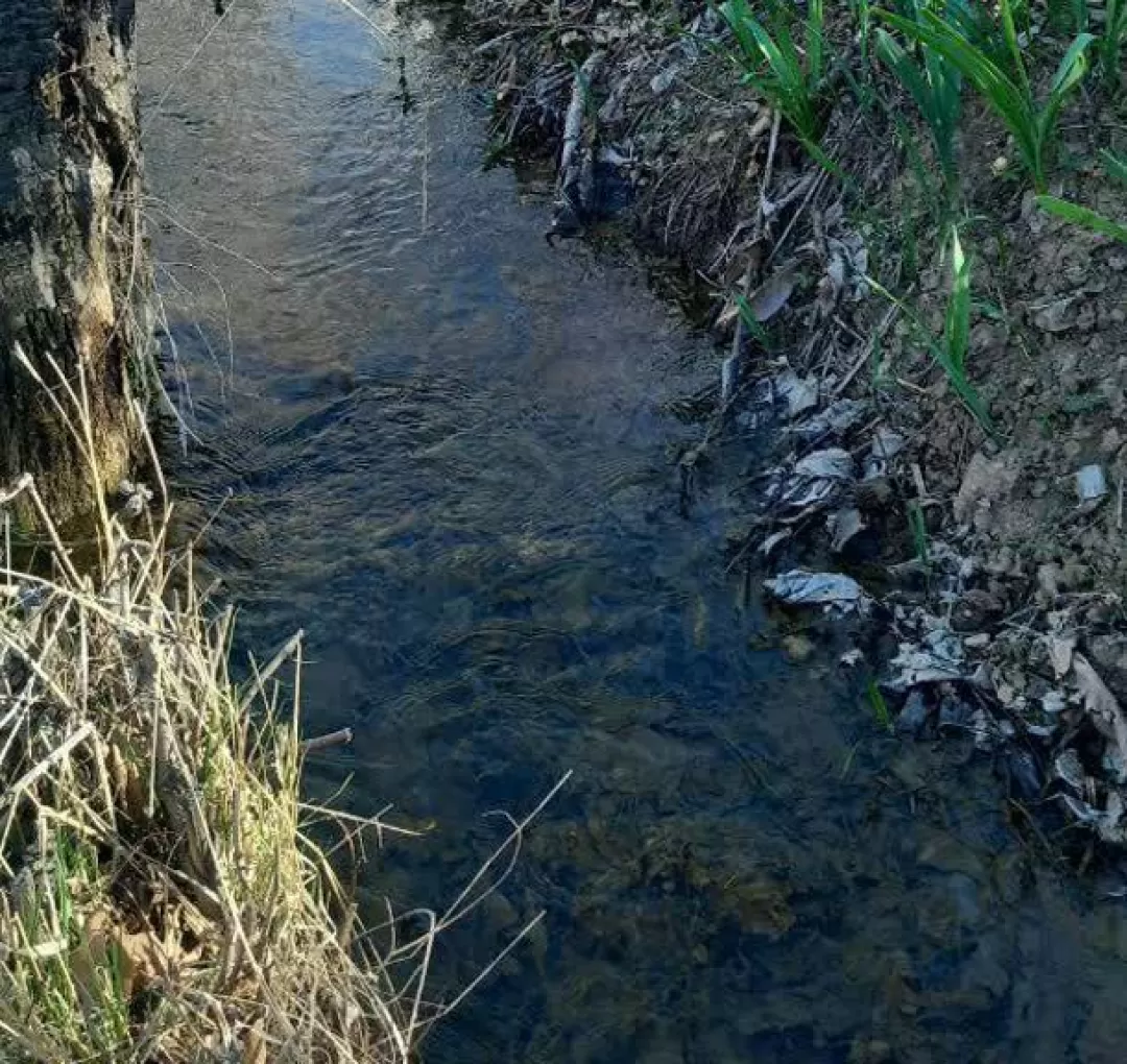 طبیعت بهاری روستای علیشار