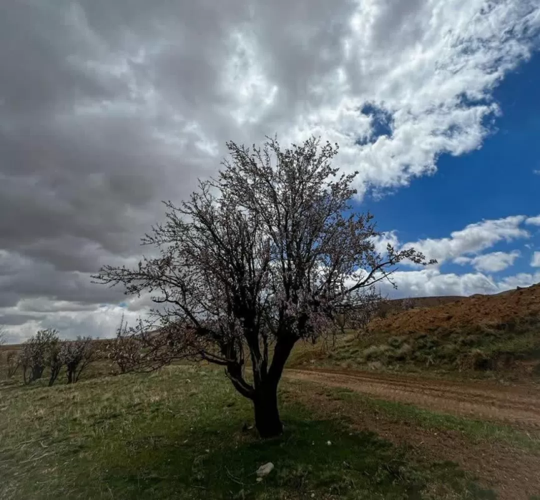 طبیعت بهاری روستای علیشار