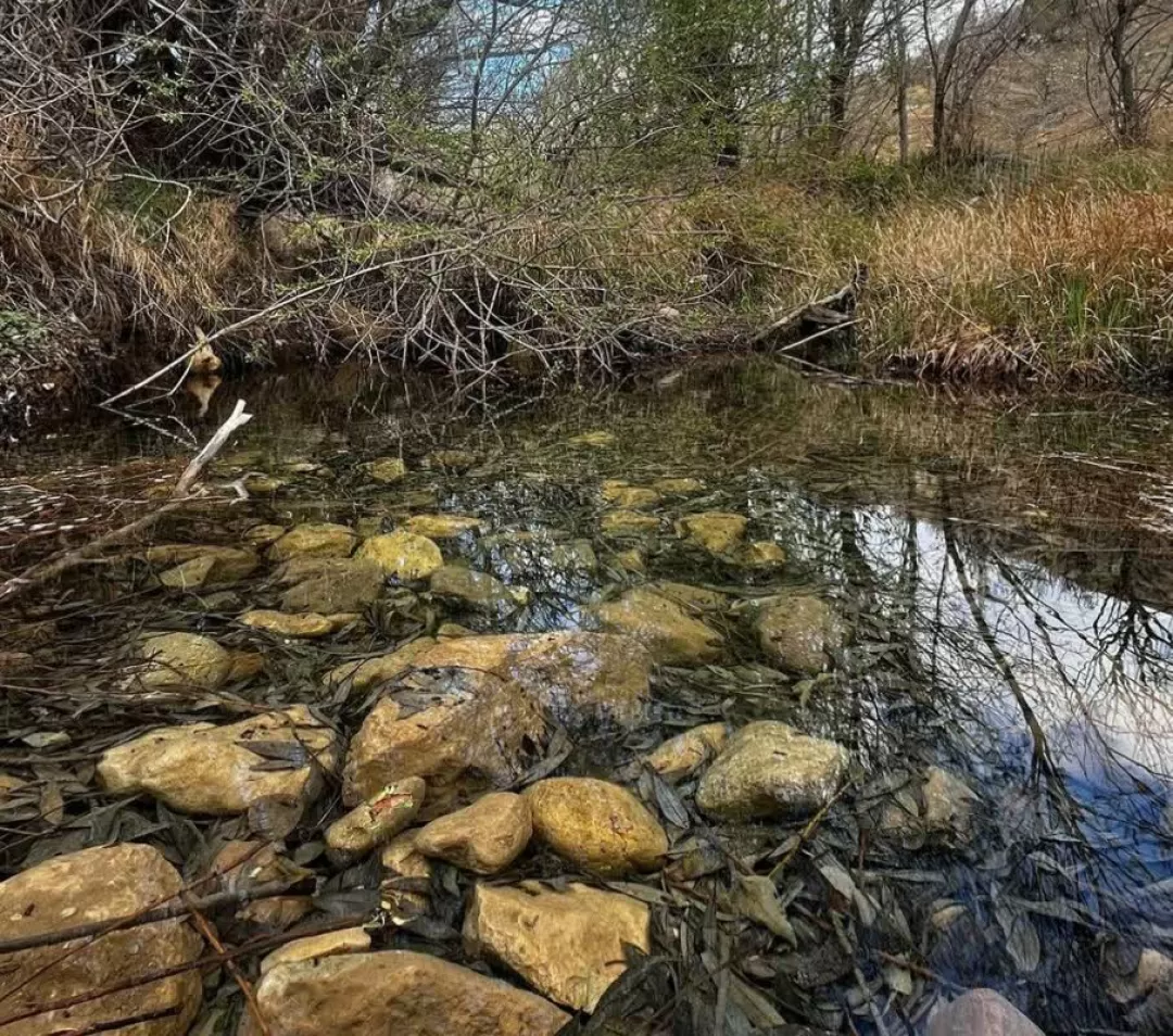 طبیعت بهاری روستای علیشار