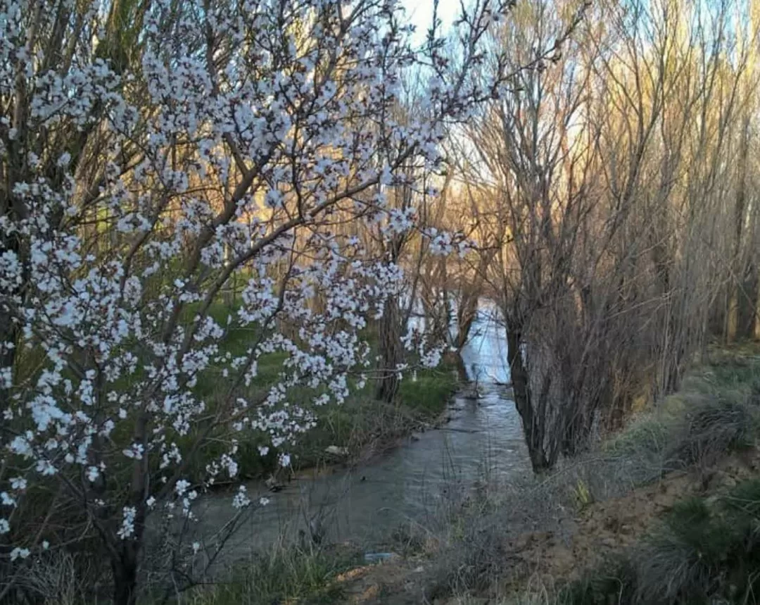 طبیعت بهاری روستای علیشار