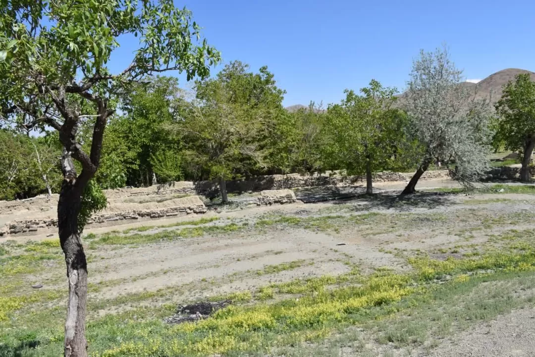 طبیعت بهاری روستای انجدان