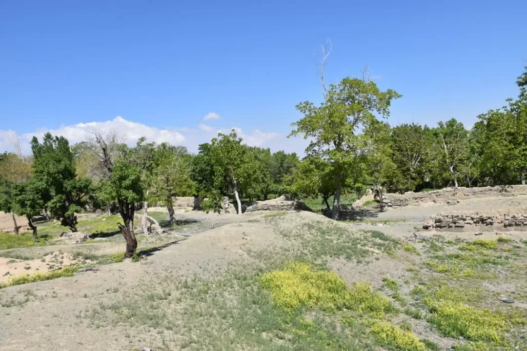 طبیعت بهاری روستای انجدان