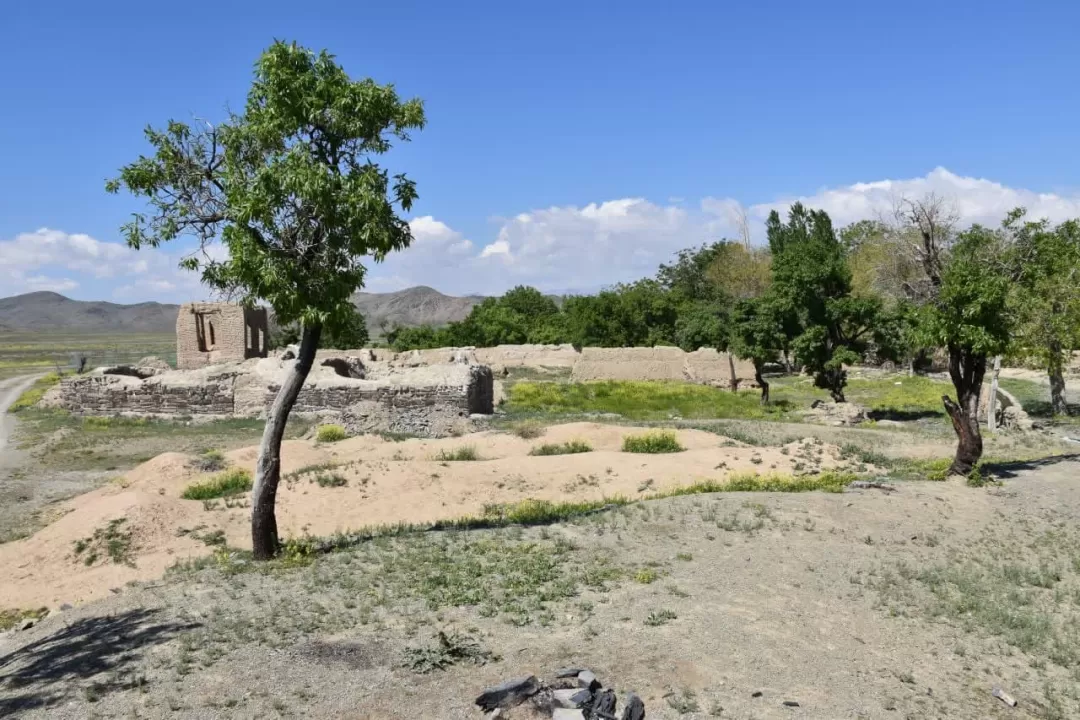 طبیعت بهاری روستای انجدان