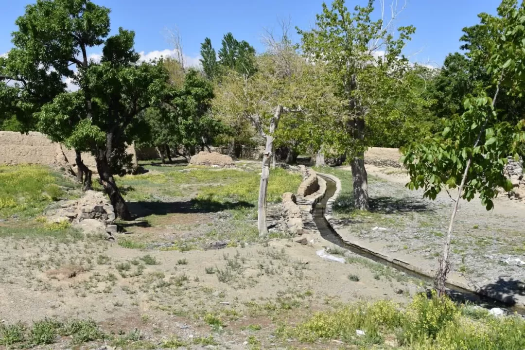 طبیعت بهاری روستای انجدان