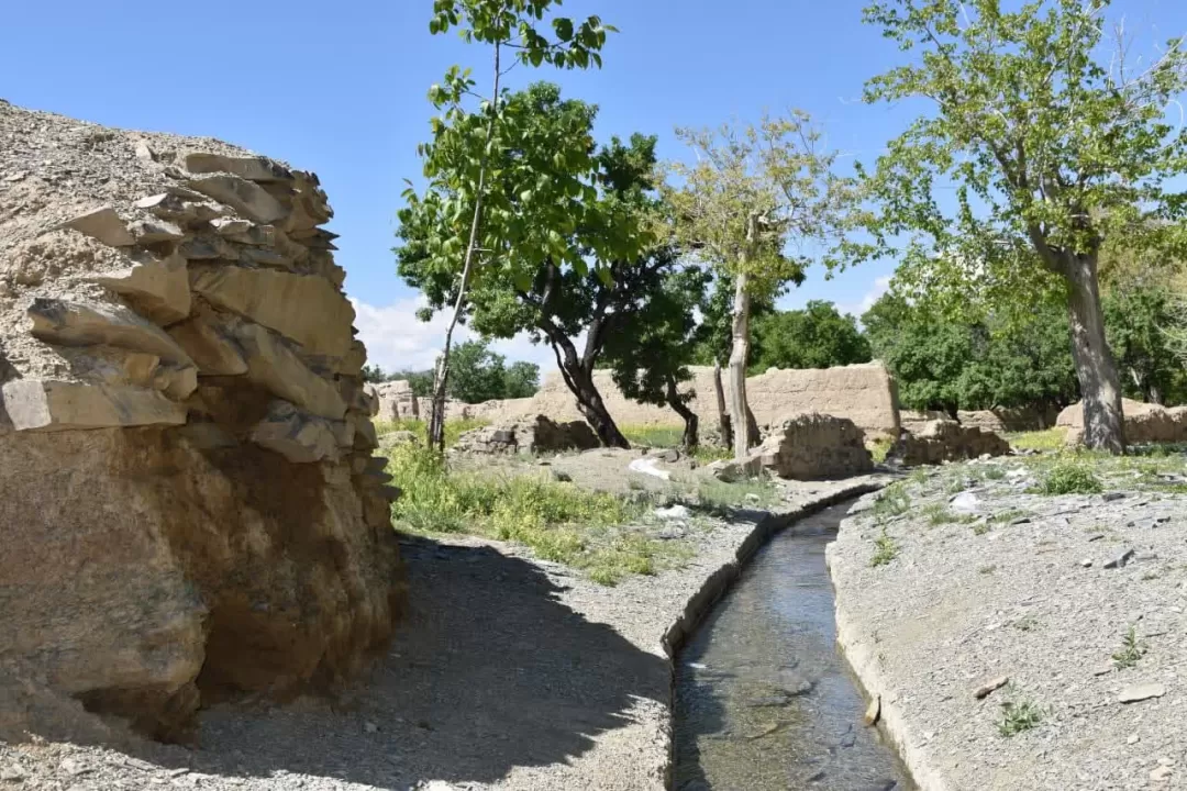 طبیعت بهاری روستای انجدان