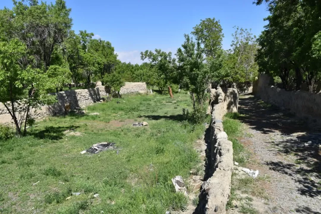 طبیعت بهاری روستای انجدان