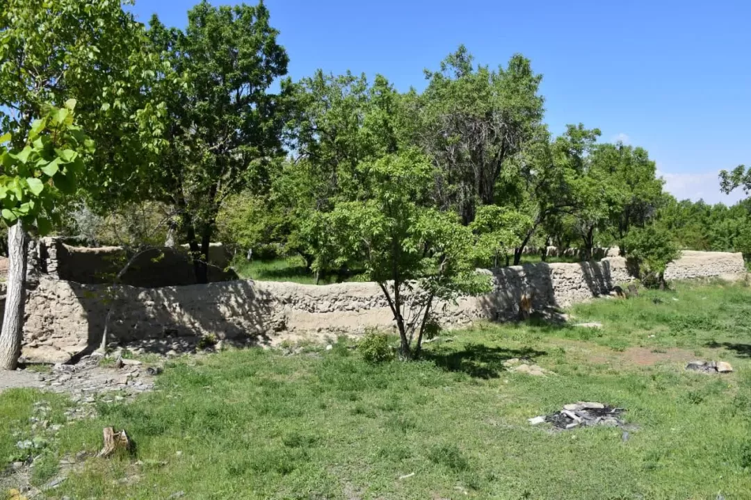 طبیعت بهاری روستای انجدان